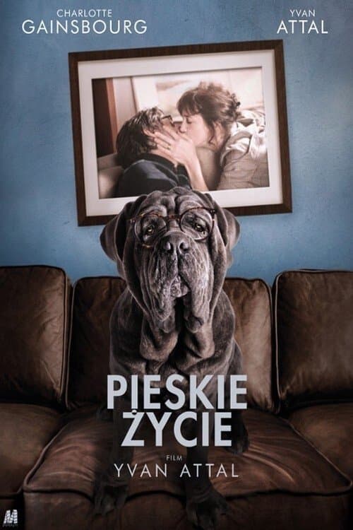 Pieskie życie 2019 cały film