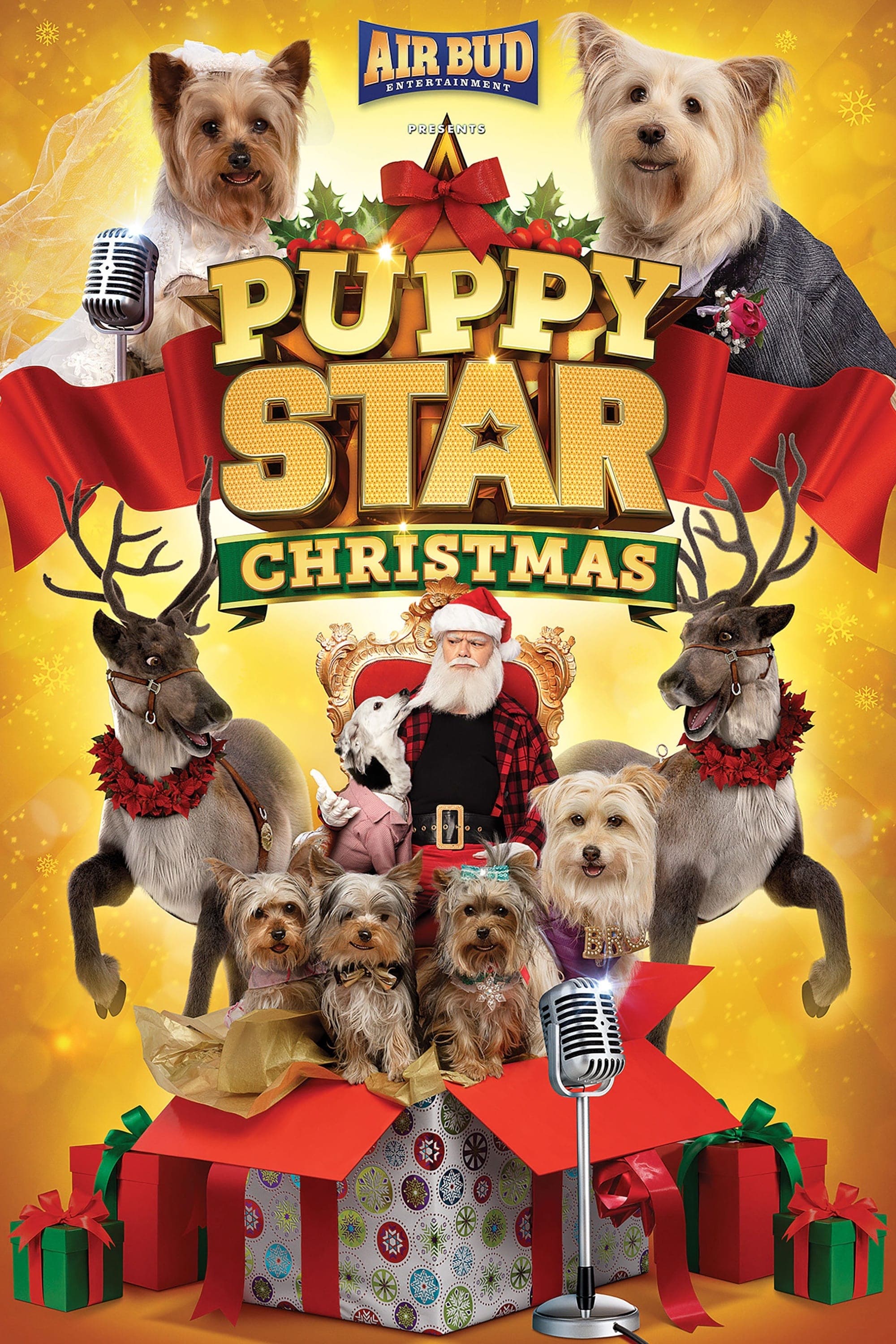 Puppy Star: Boże Narodzenie 2018 cały film