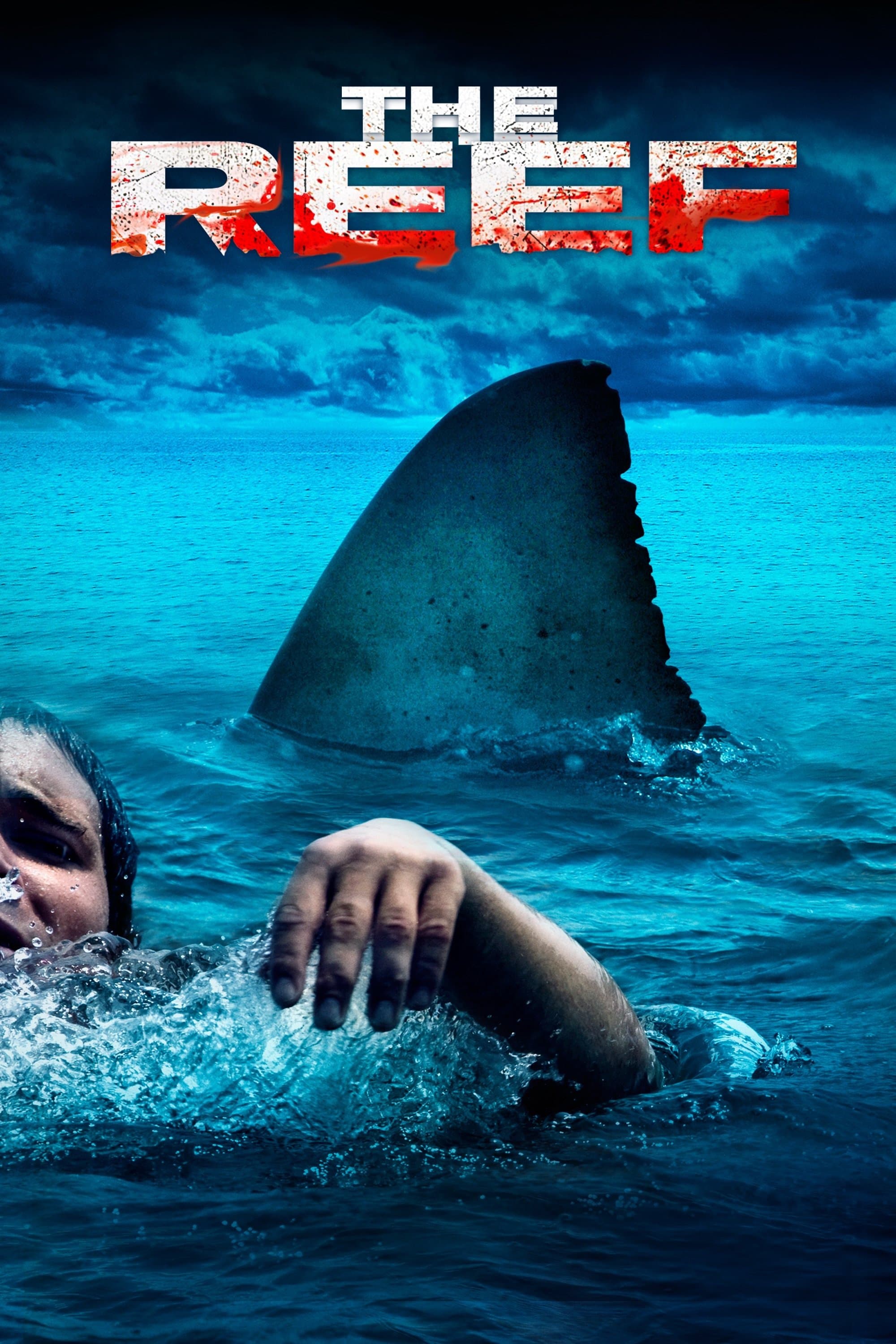 Rafa 2010 cały film