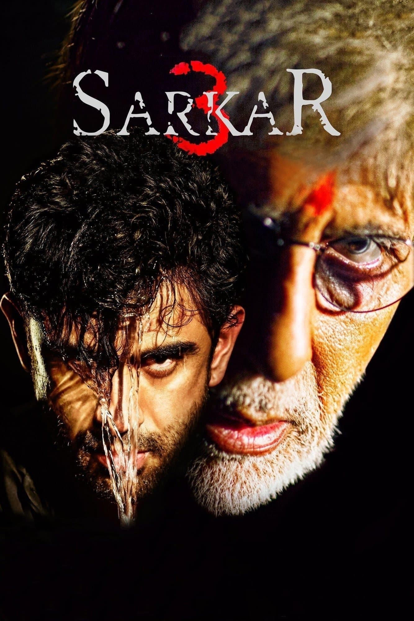 Sarkar 3 2017 cały film