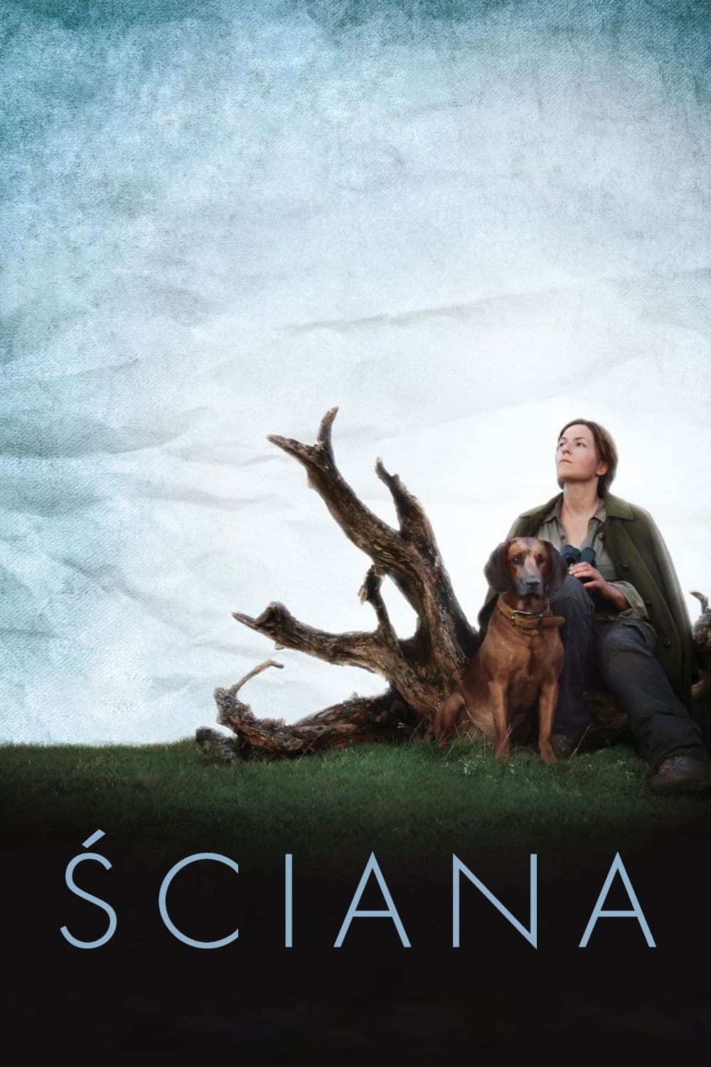 Ściana 2012 cały film