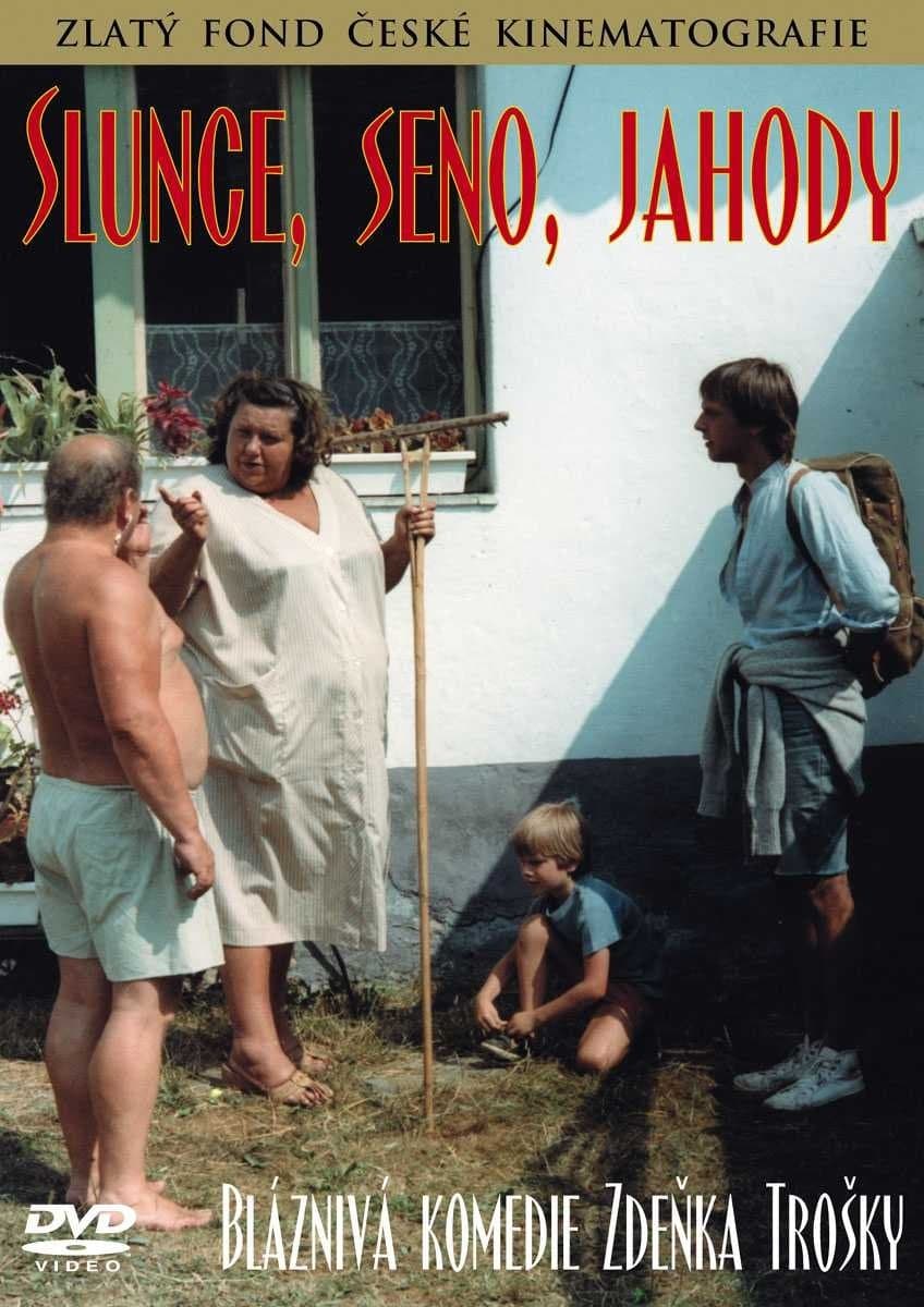 Słońce, siano, truskawki 1984 cały film