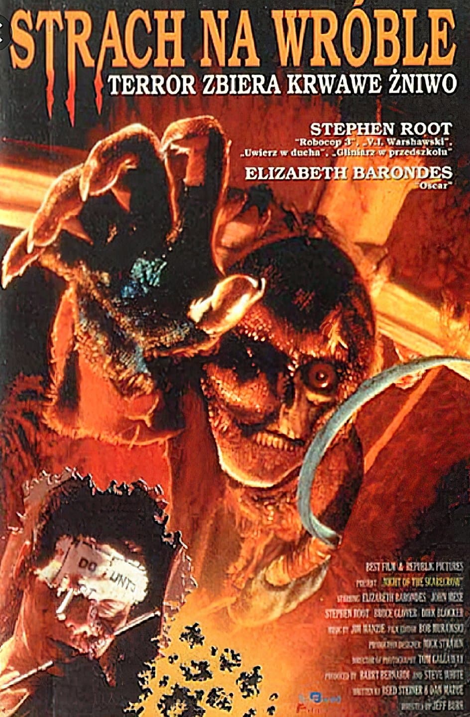 Strach na wróble 1995 cały film