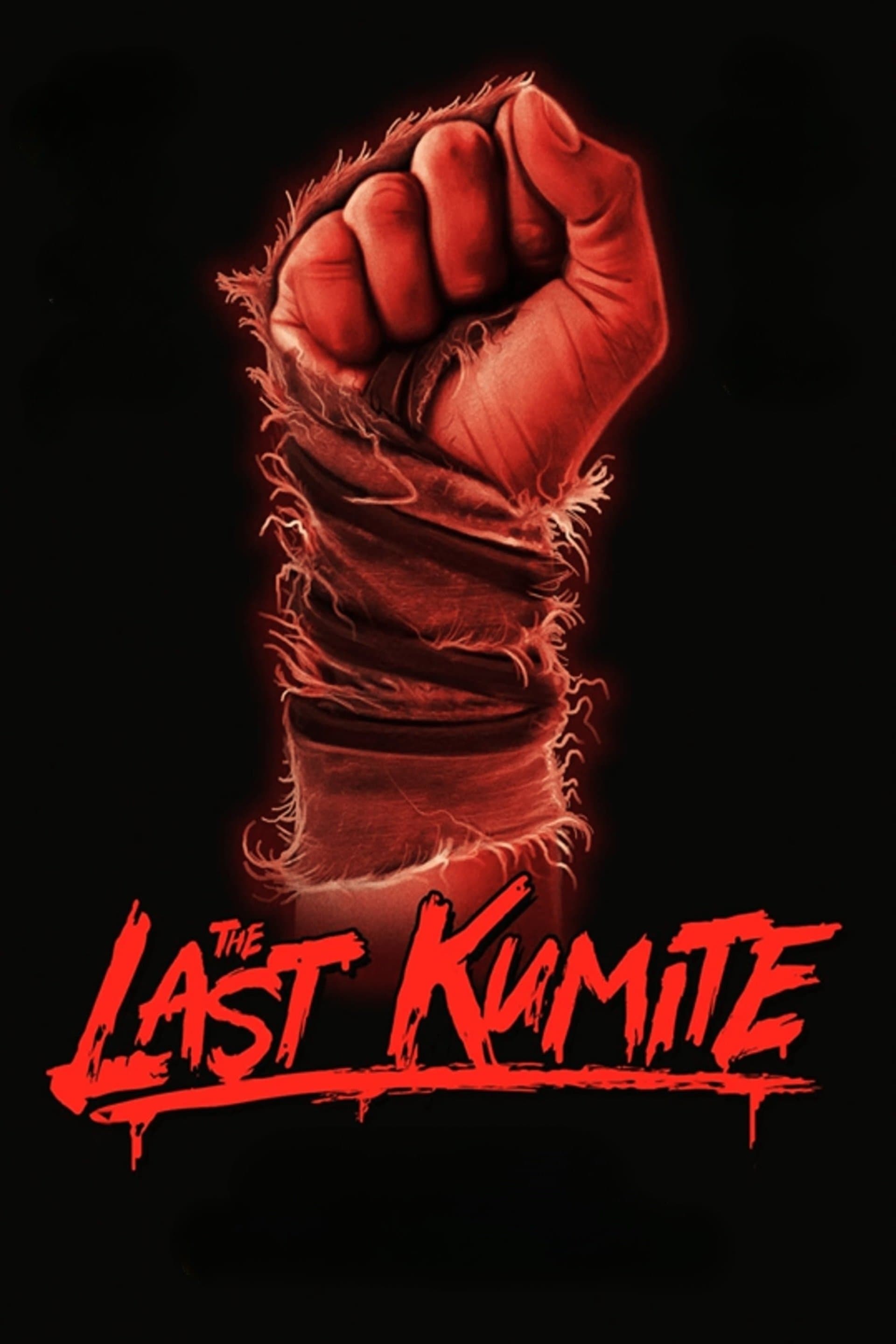 The Last Kumite 2024 cały film