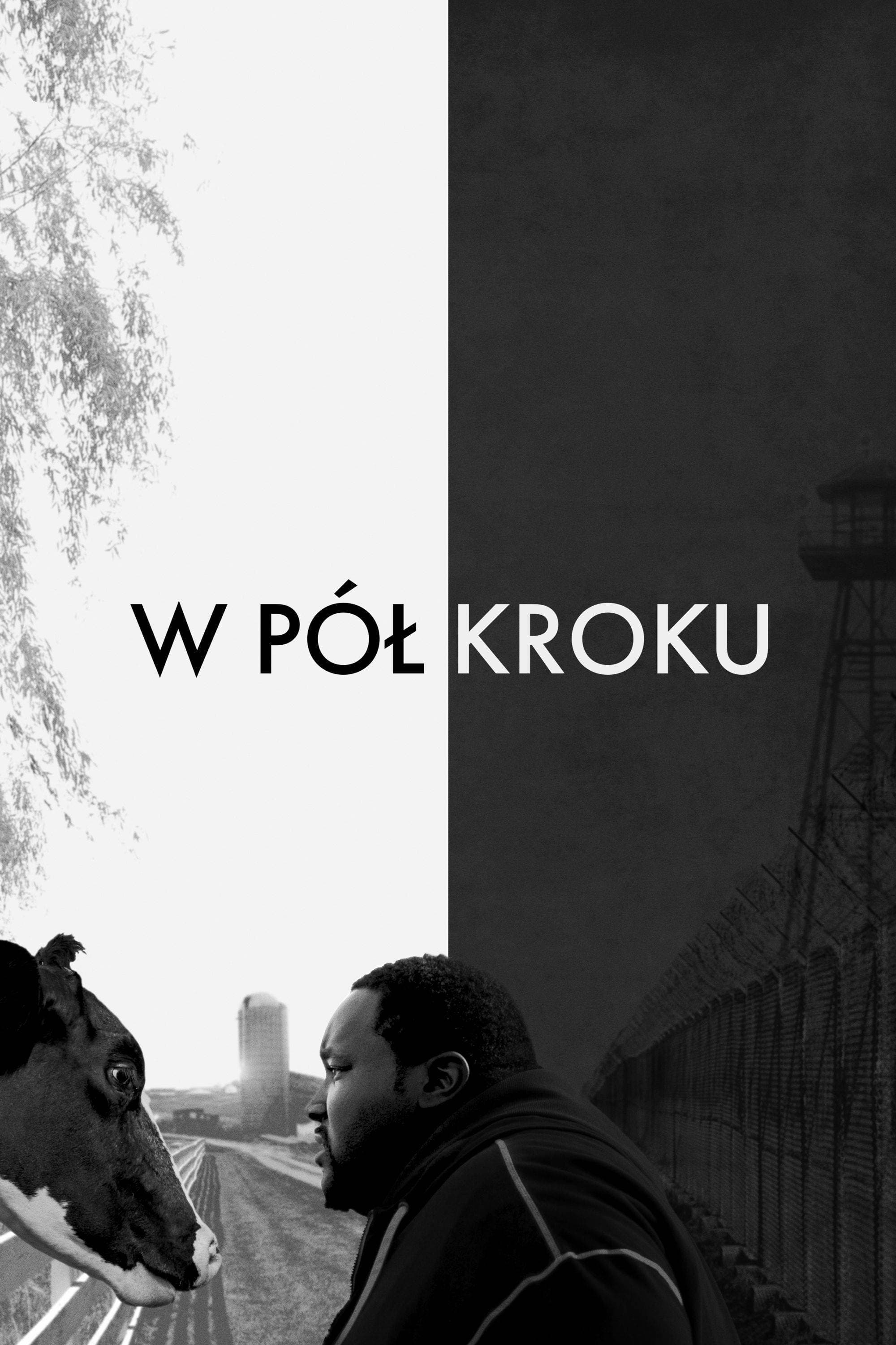 W pół kroku 2017 cały film