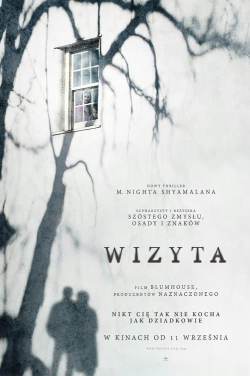 Wizyta 2015 cały film