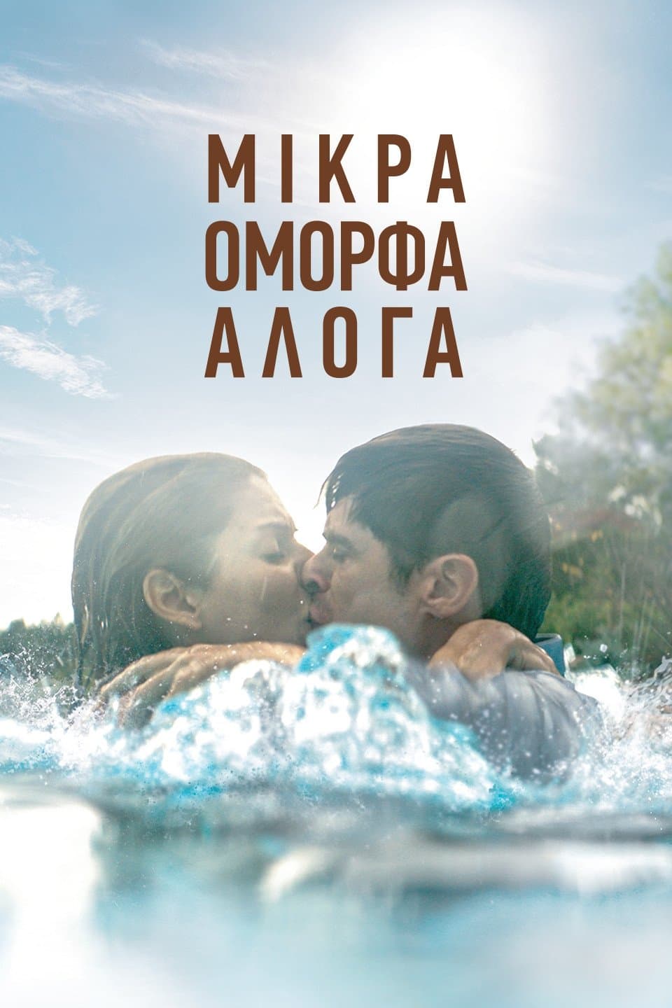 Wszystkie piękne koniki 2021 cały film