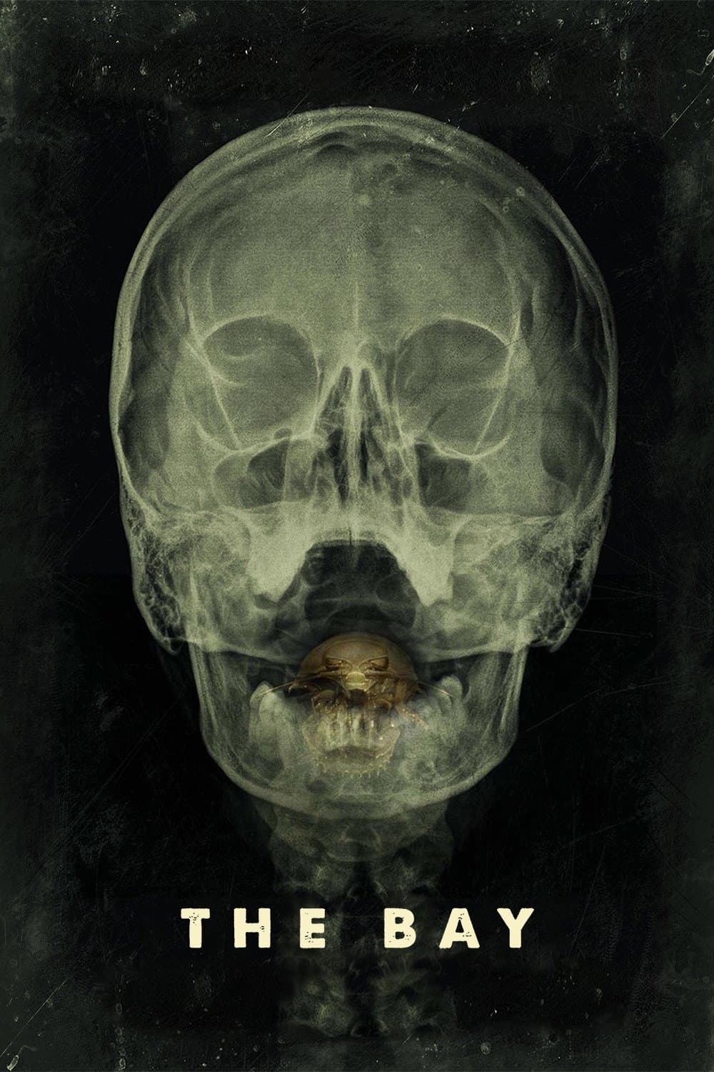 Zatoka 2012 cały film