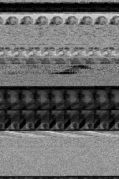 Zdjęcie Amancay Espíndola