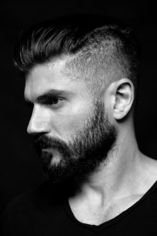 Andrew Levitas całe filmy