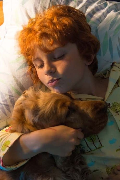 Zdjęcie Charlie Langendries