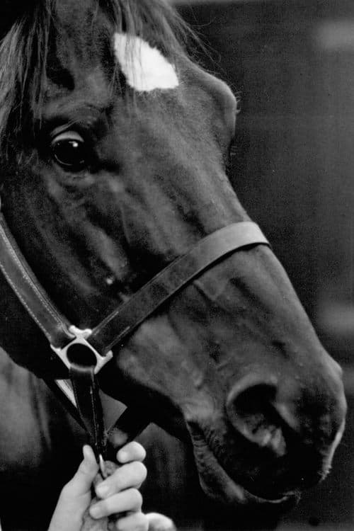 Zdjęcie Docs Keepin Time