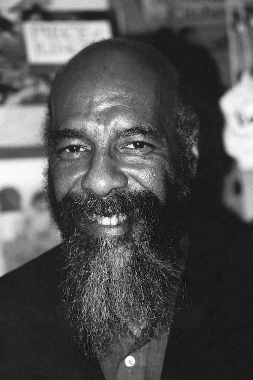 Zdjęcie Richie Havens