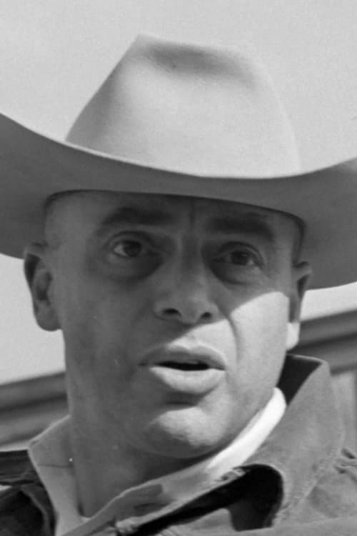 Tom Gries całe filmy