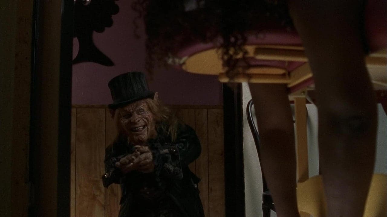 Karzeł 6. Powrót do dzielnicy