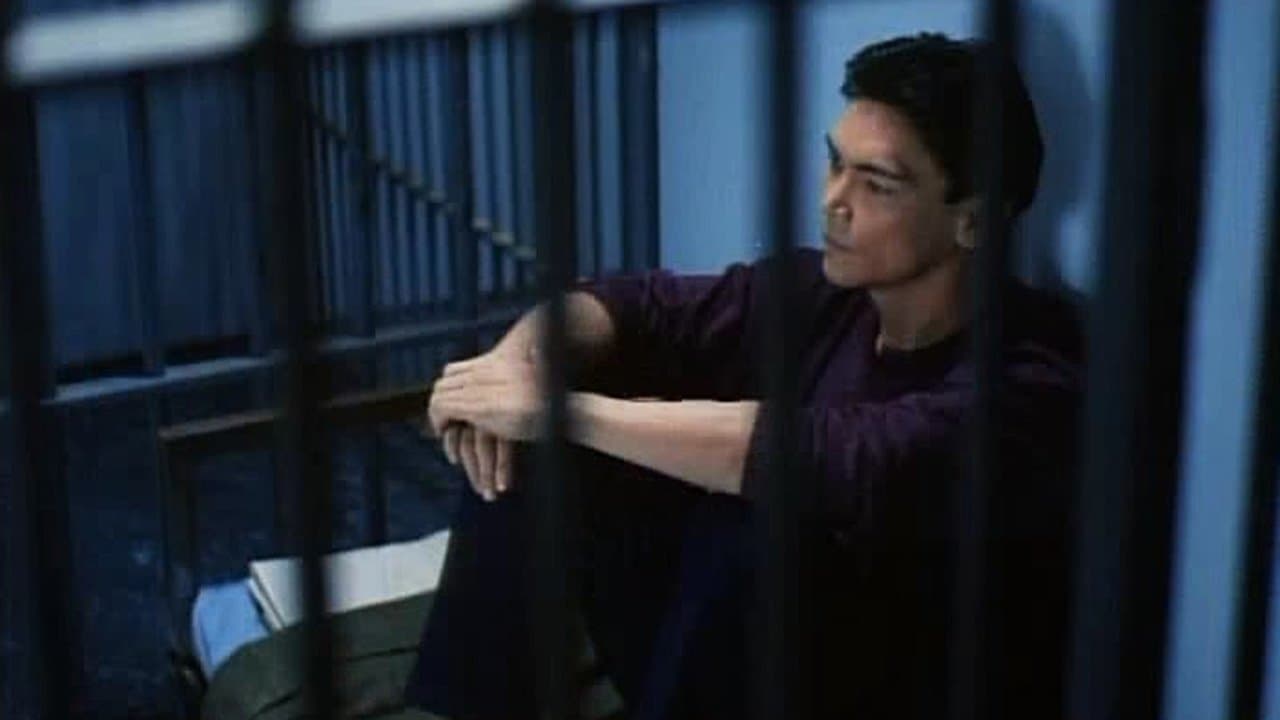 Krwawa Pięść V: Człowiek Cel