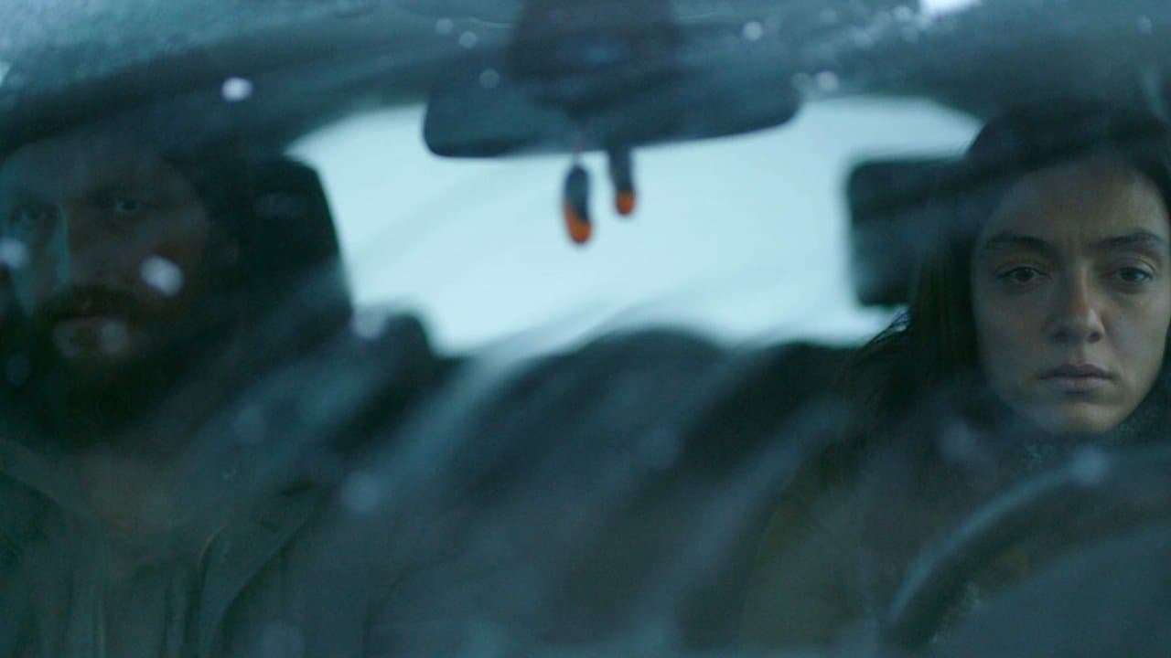 Niedźwiedzia przysługa