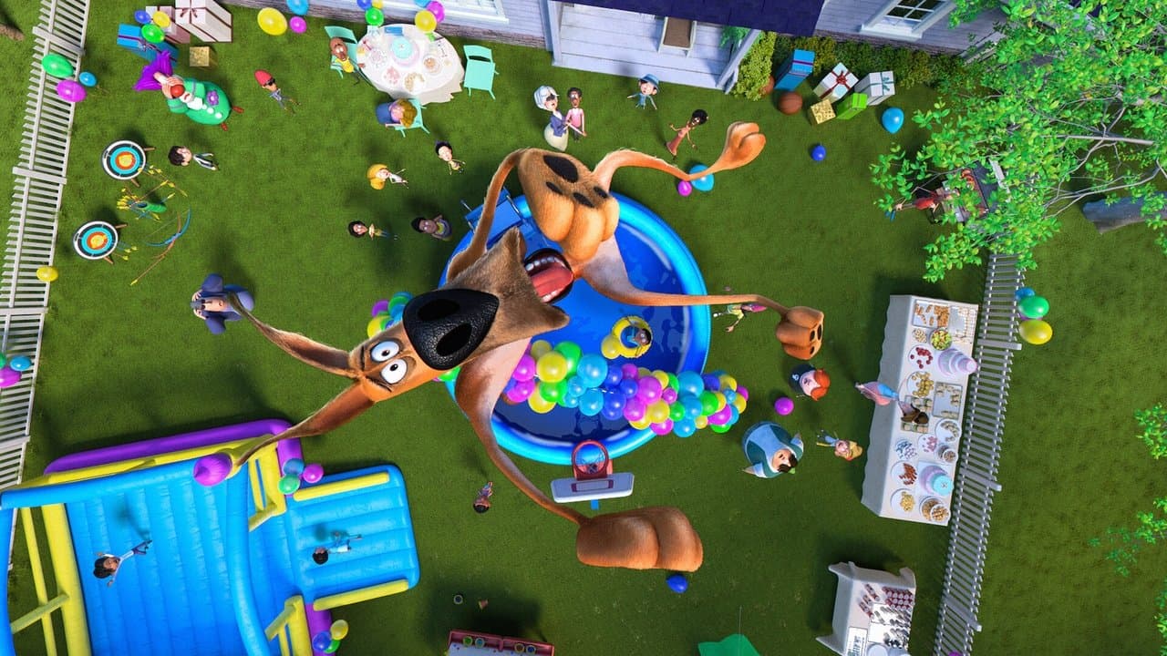 Pies w rozmiarze XXL