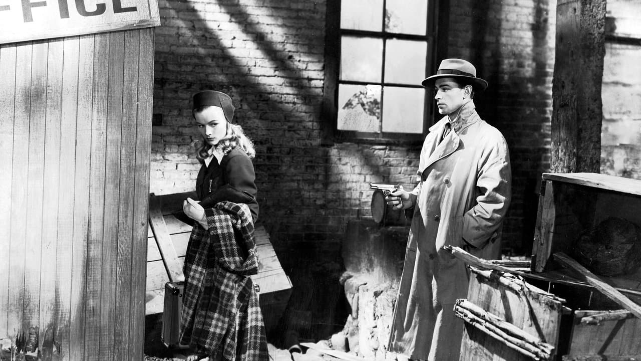 Pistolet do wynajęcia