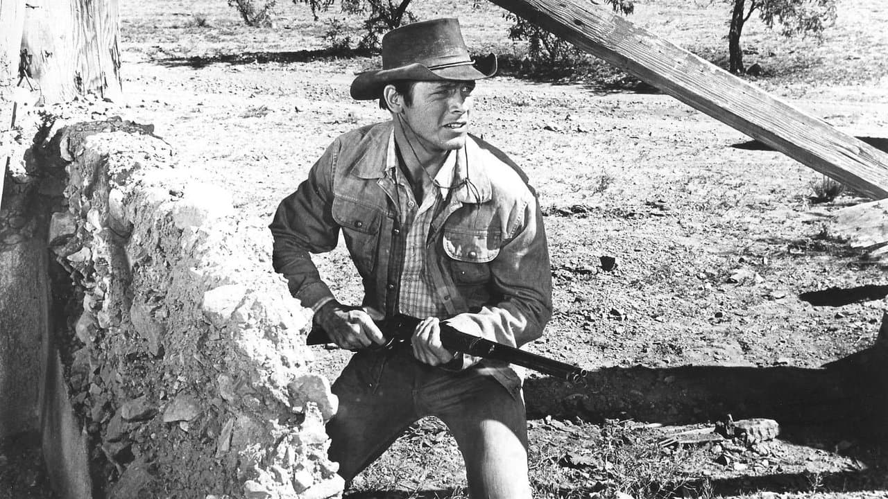 Powrót Rewolwerowca