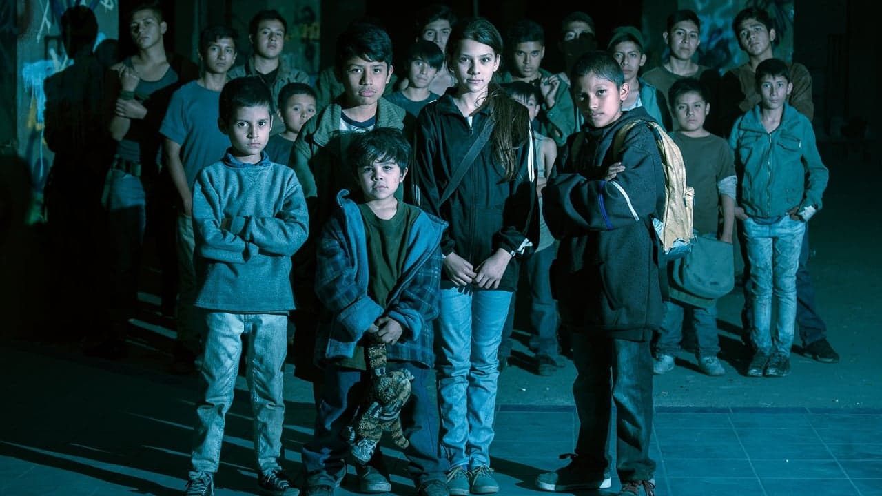 Tygrysy się nie boją