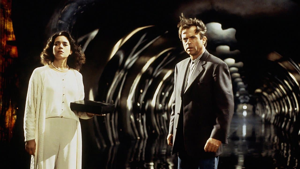 W paszczy szaleństwa