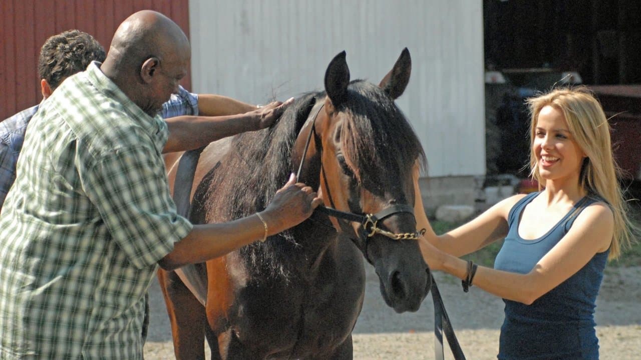 Wyścig po szczęście