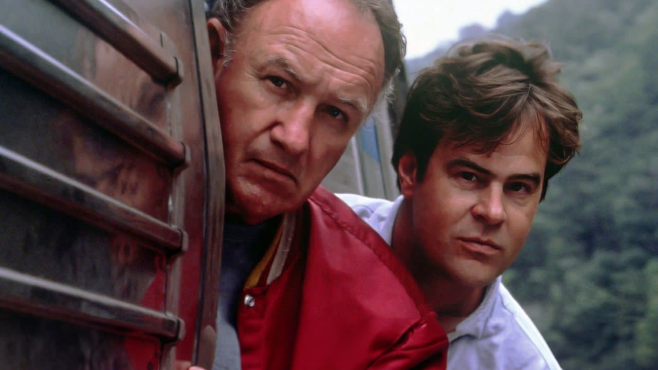 Zwariowani detektywi