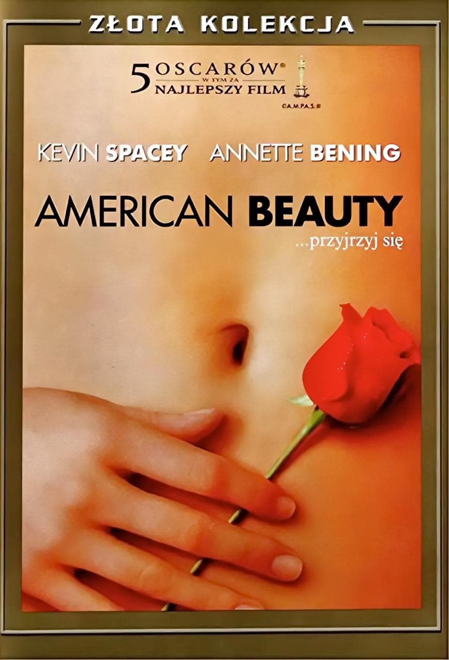American Beauty 1999 cały film