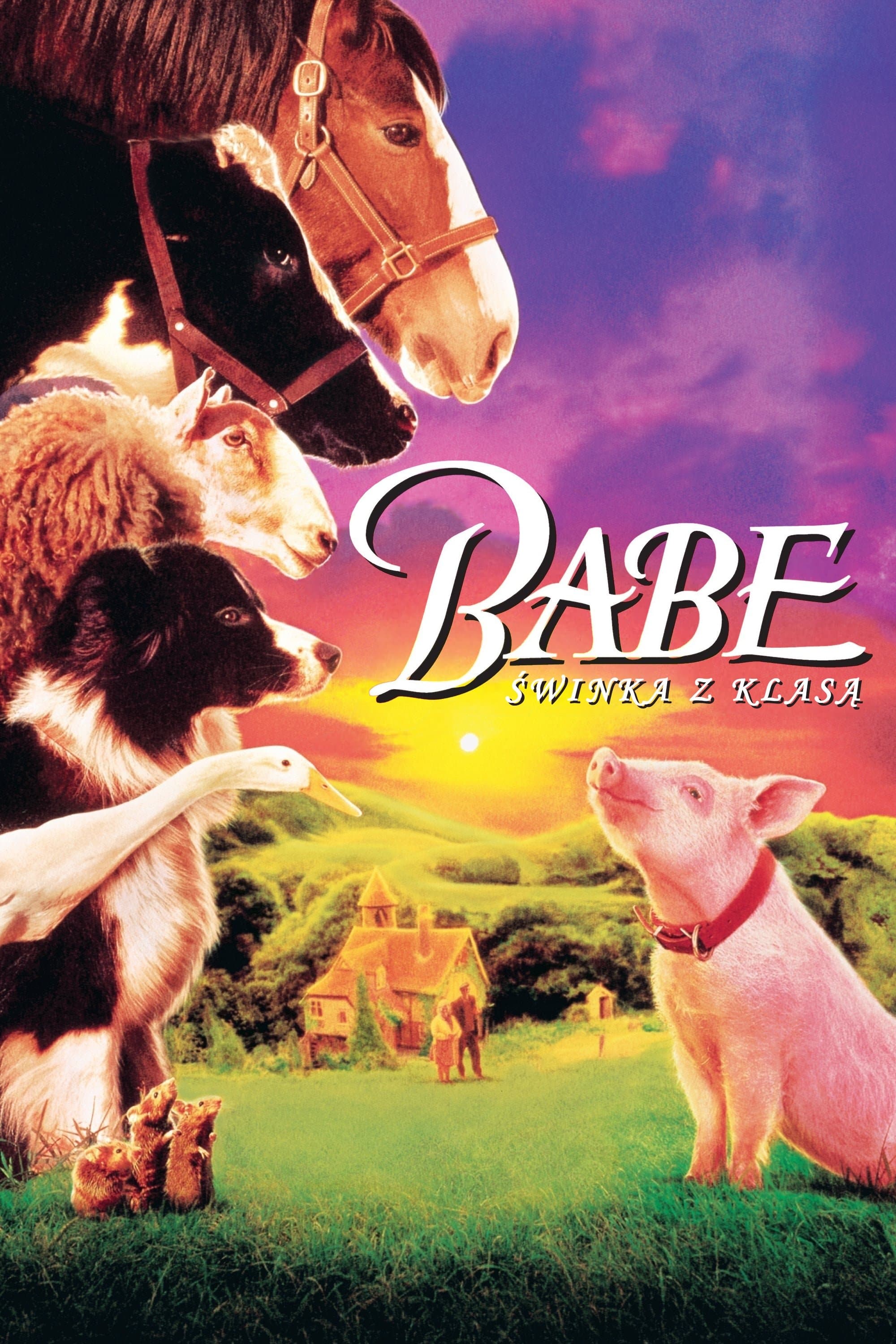 Babe - świnka z klasą 1995 cały film