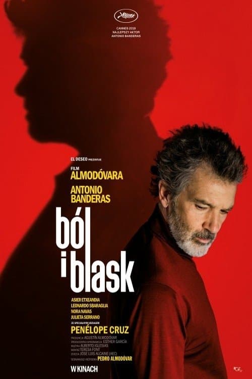 Ból i blask 2019 cały film