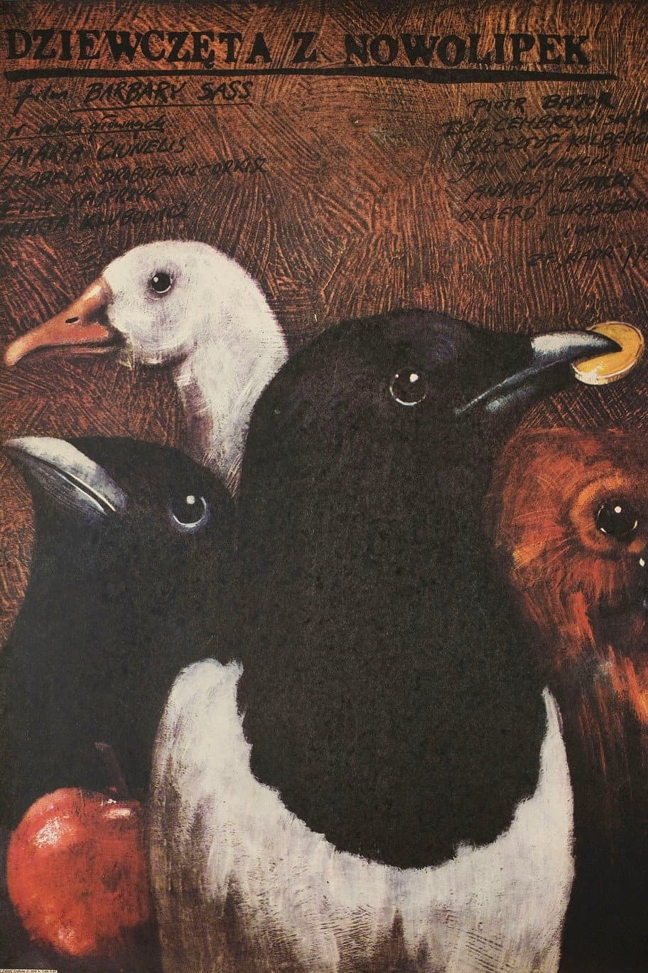 Dziewczęta z Nowolipek 1986 cały film