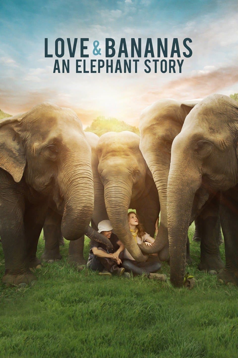Love & Bananas: An Elephant Story 2018 cały film