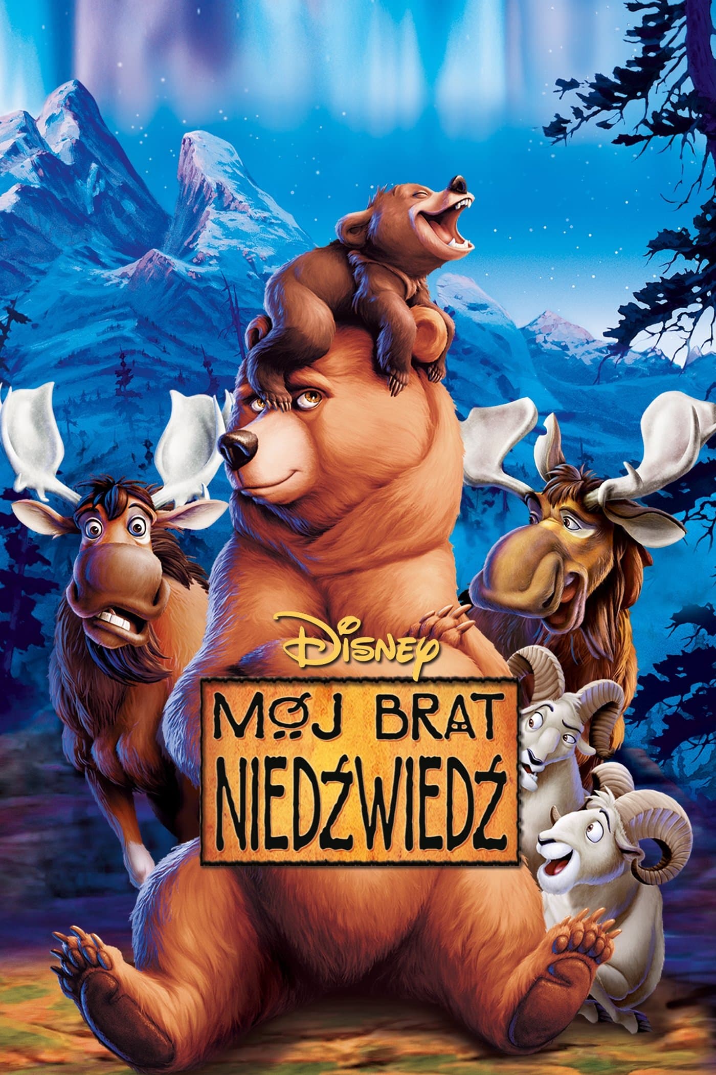 Mój brat niedźwiedź 2003 cały film
