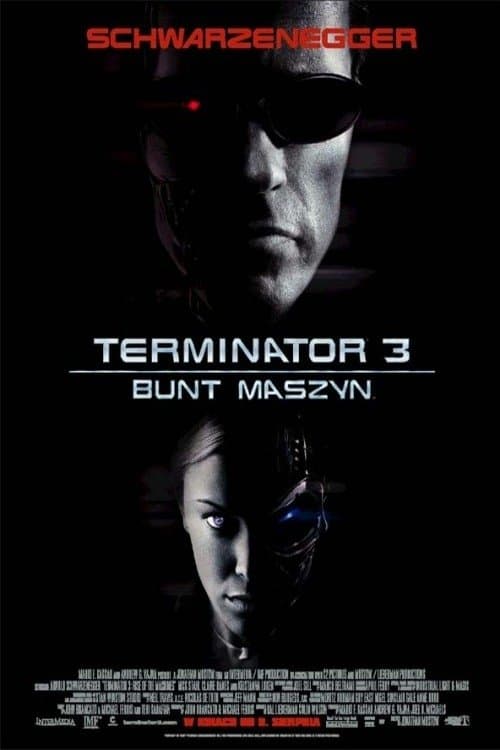 Terminator 3. Bunt maszyn 2003 cały film