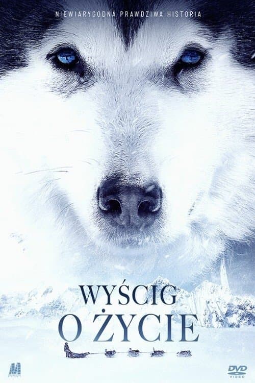 Wyścig o życie 2019 cały film