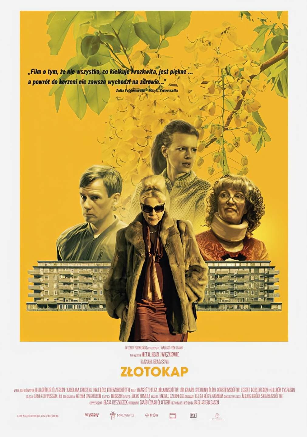 Złotokap 2020 cały film