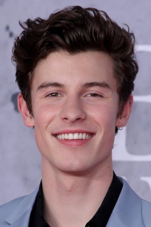Zdjęcie Shawn Mendes