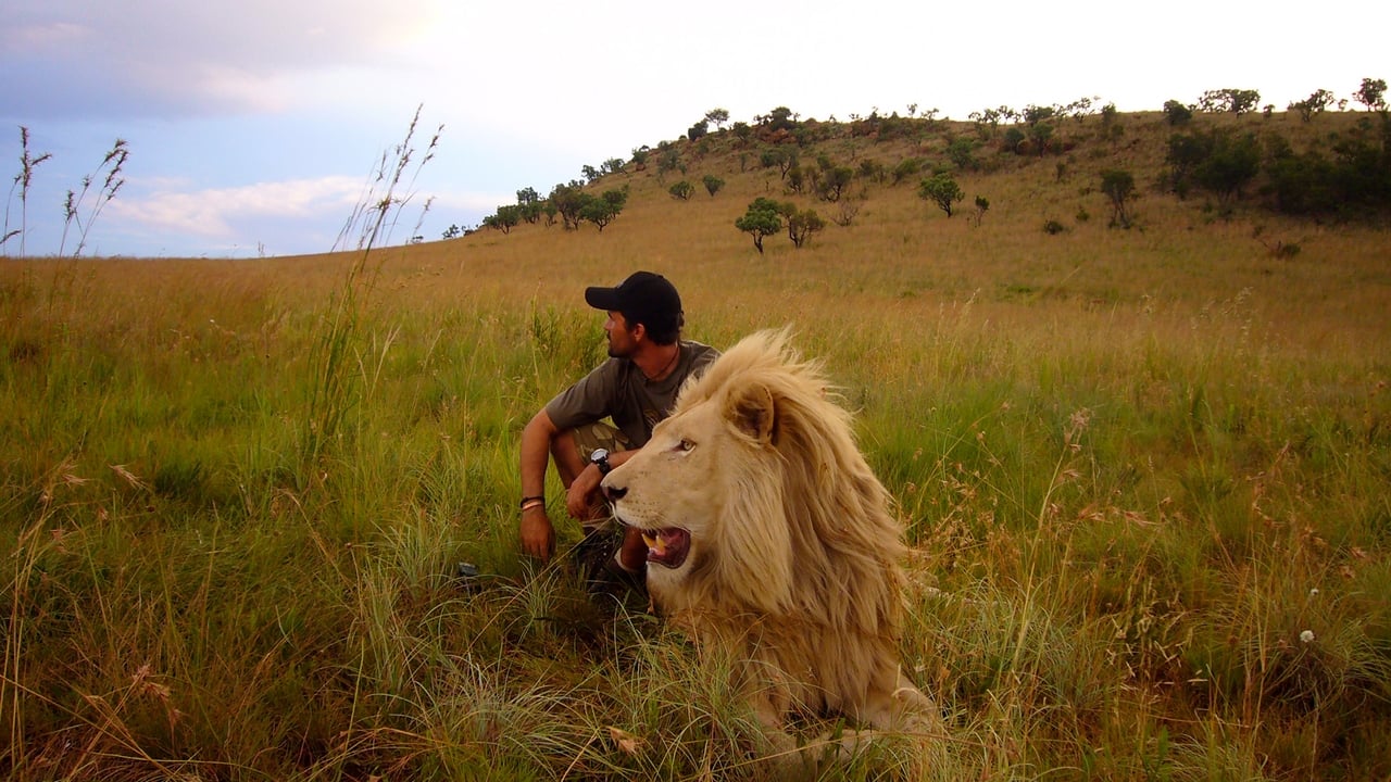 Afryka - wyprawa na safari Cały Film