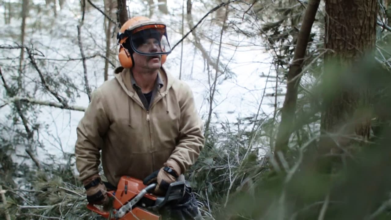 Bob and the Trees Cały Film