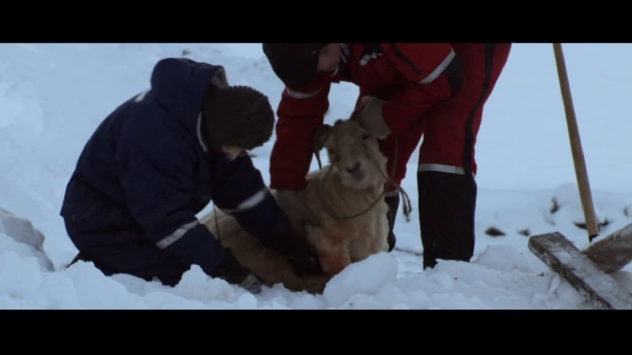 Brak zasięgu Cały Film