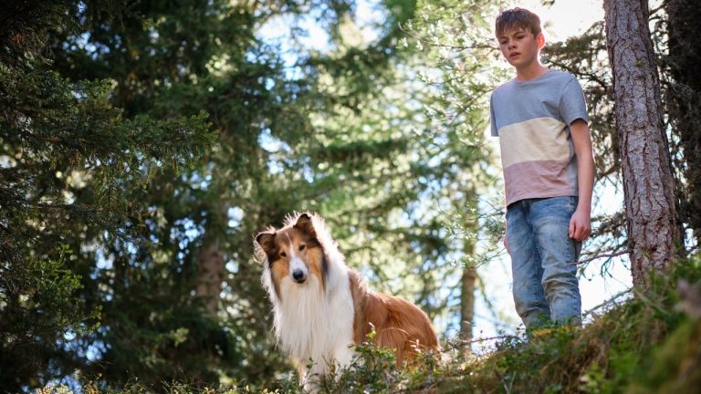 Lassie. Nowe przygody Cały Film