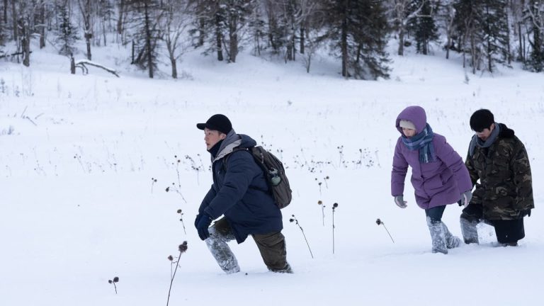 Przełamując lody Cały Film