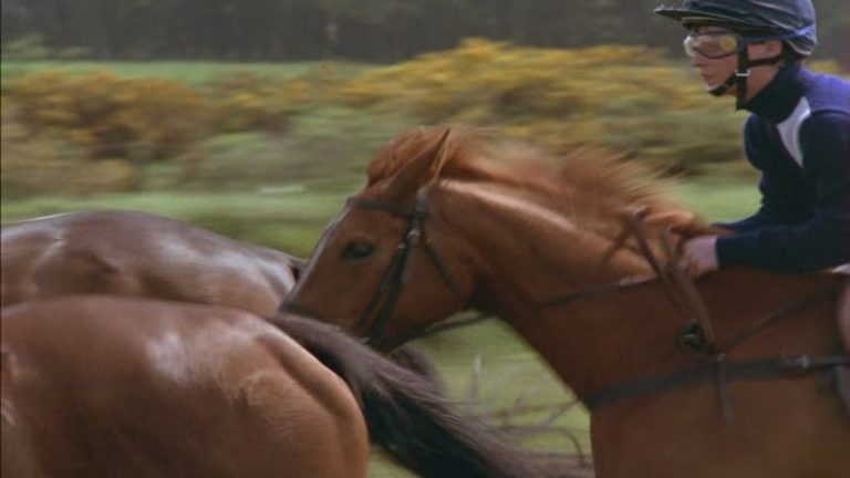 Shergar Cały Film