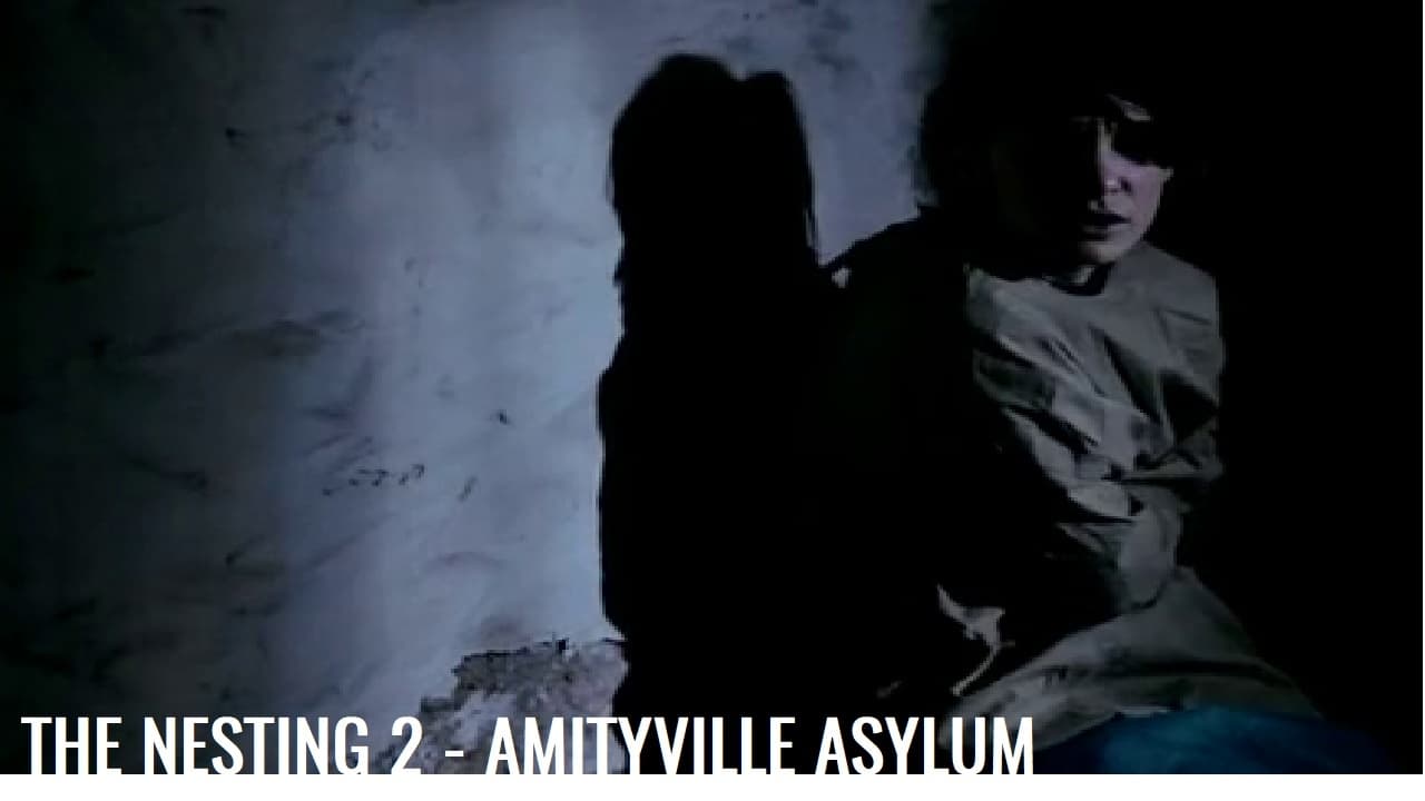 The Amityville Asylum Cały Film