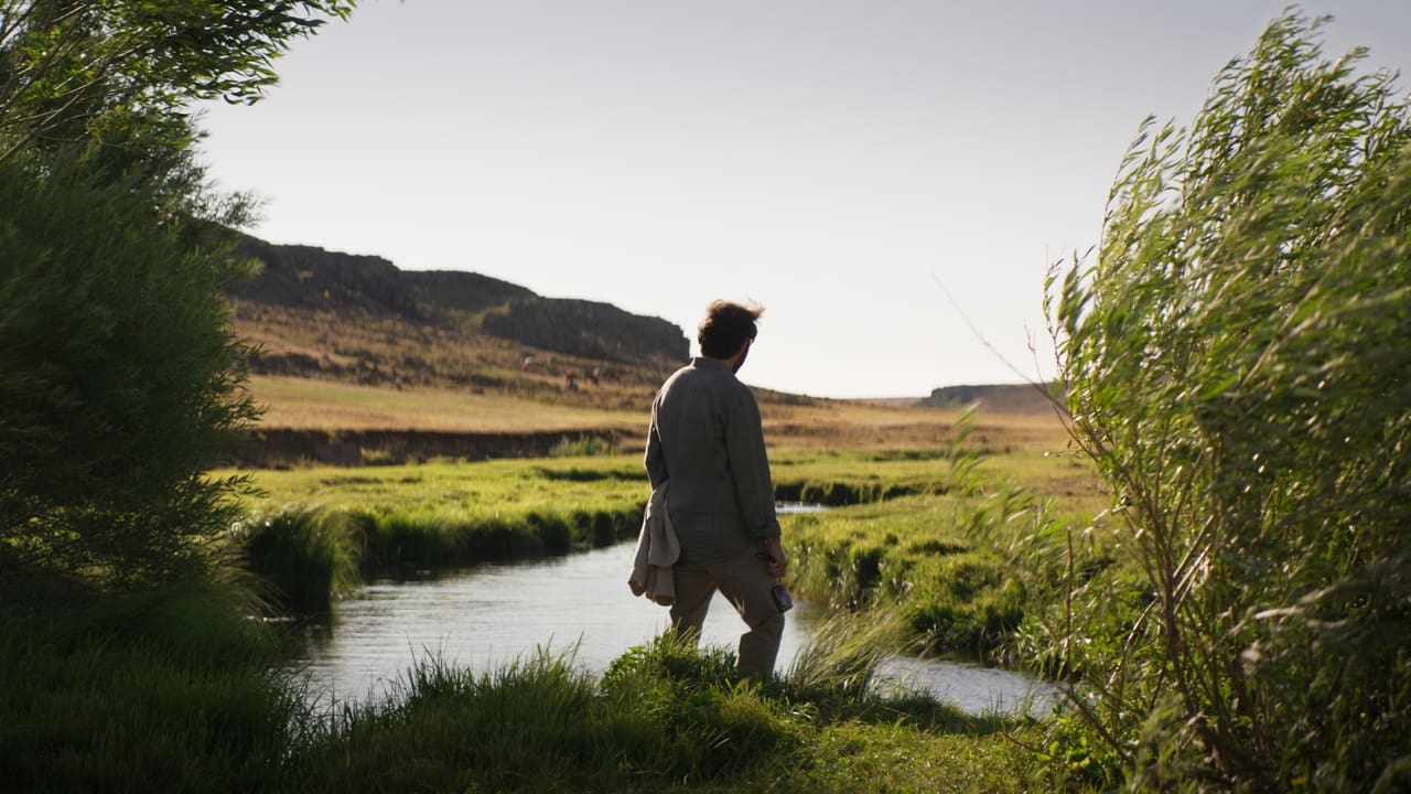 Wśród wyschniętych traw Cały Film